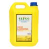 Agua Lavandina GyG hipoclorito 50g/l
